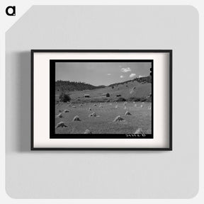 アートポスター-Wheat Field, Holman, New Mexico
 - ラッセル リー Poster.