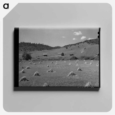 アートパネル-Wheat Field, Holman, New Mexico
 - ラッセル リー Canvas.