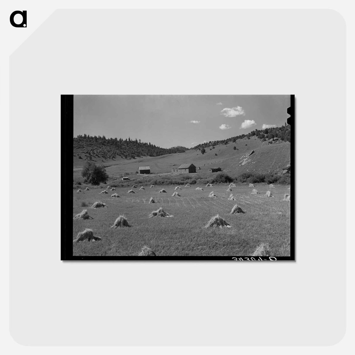 アートポストカード-Wheat Field, Holman, New Mexico
 - ラッセル リー Postcard.