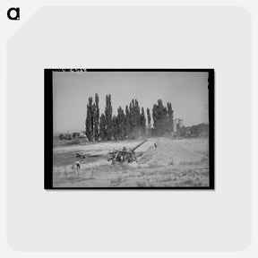 アートポストカード-Threshing Grain, Box Elder County, Utah
 - ラッセル リー Postcard.