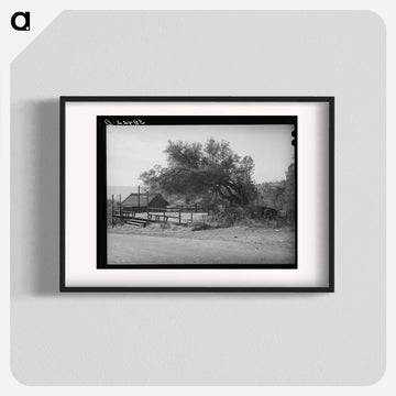 Dance Platform, Placer County, California
 - ラッセル リー Poster.