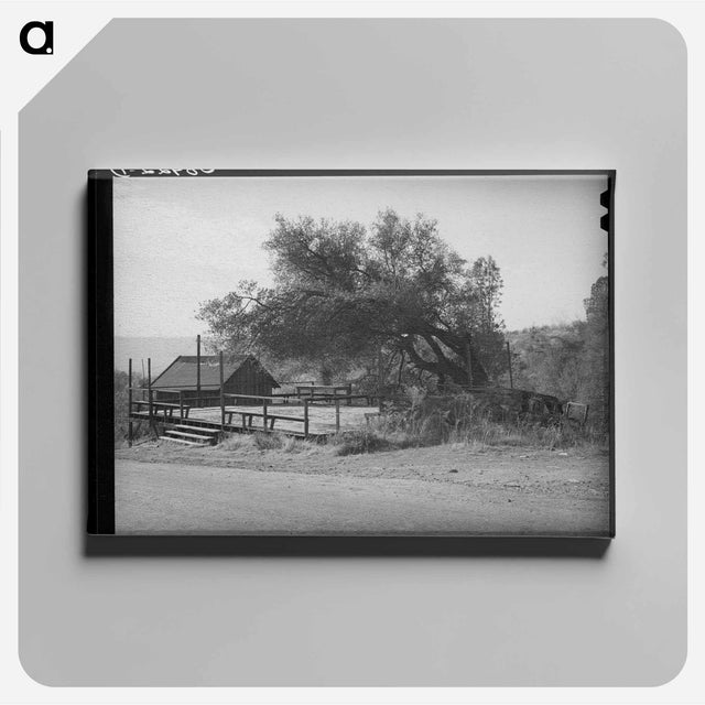 アートパネル-Dance Platform, Placer County, California
 - ラッセル リー Canvas.