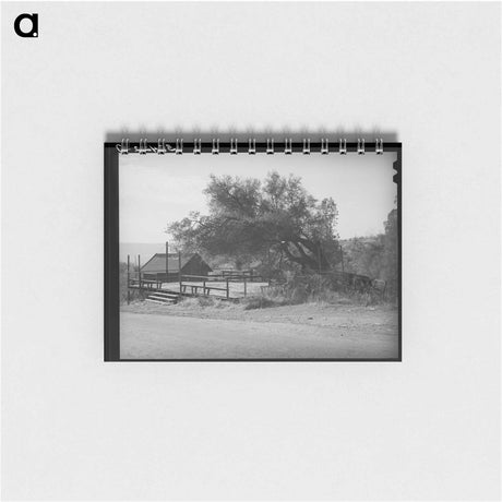 アートメモ帳-Dance Platform, Placer County, California
 - ラッセル リー Memo.