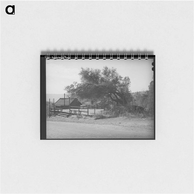 アートメモ帳-Dance Platform, Placer County, California
 - ラッセル リー Memo.