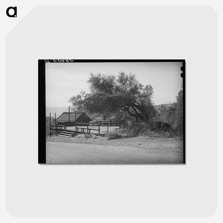 アートポストカード-Dance Platform, Placer County, California
 - ラッセル リー Postcard.