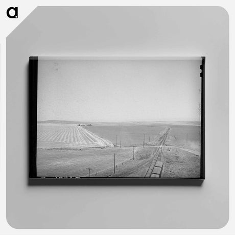 アートパネル-Wheat Land and Railroad, Eureka Flats, Walla Walla County, Washington
 - ラッセル リー Canvas.