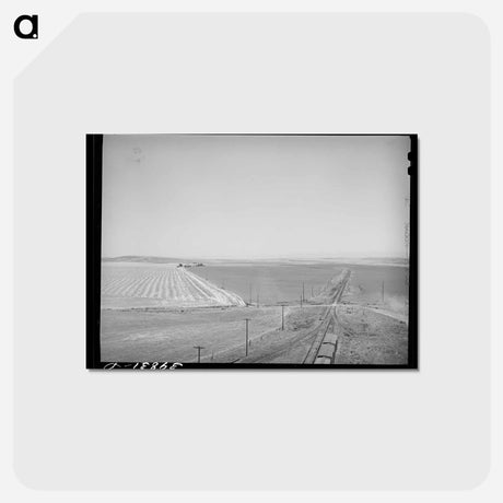アートポストカード-Wheat Land and Railroad, Eureka Flats, Walla Walla County, Washington
 - ラッセル リー Postcard.