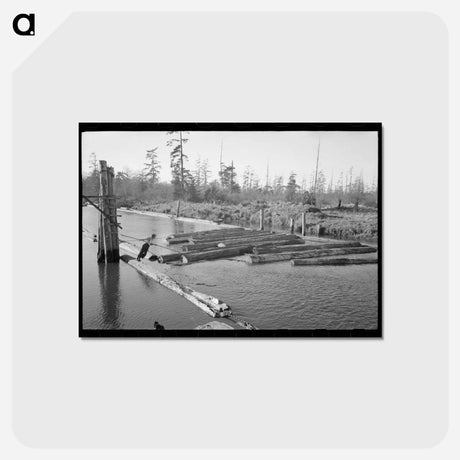 アートポストカード-Lumberjack Forming Log Raft at Tillamook, Oregon
 - ラッセル リー Postcard.