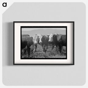 アートポスター-Yearlings, Cruzen Ranch, Valley County, Idaho
 - ラッセル リー Poster.