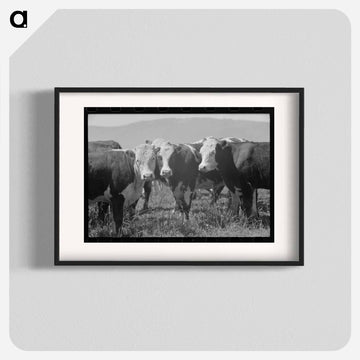 Yearlings, Cruzen Ranch, Valley County, Idaho
 - ラッセル リー Poster.