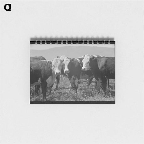 アートメモ帳-Yearlings, Cruzen Ranch, Valley County, Idaho
 - ラッセル リー Memo.