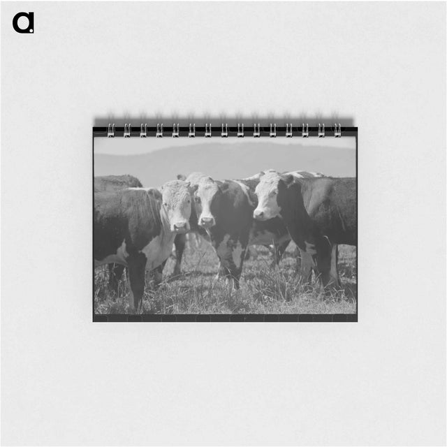 アートメモ帳-Yearlings, Cruzen Ranch, Valley County, Idaho
 - ラッセル リー Memo.