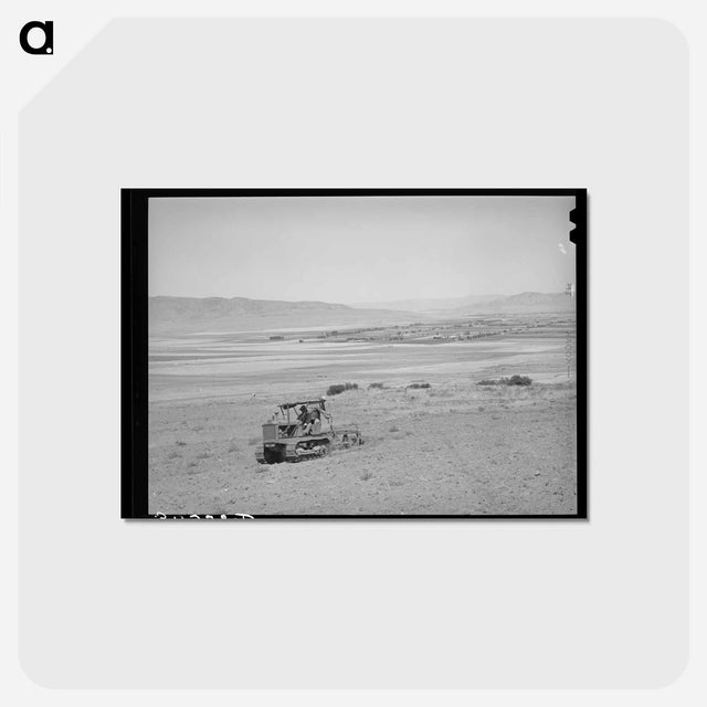 アートポストカード-Ericson Brothers Plowing Dry Land, Box Elder County, Utah
 - ラッセル リー Postcard.