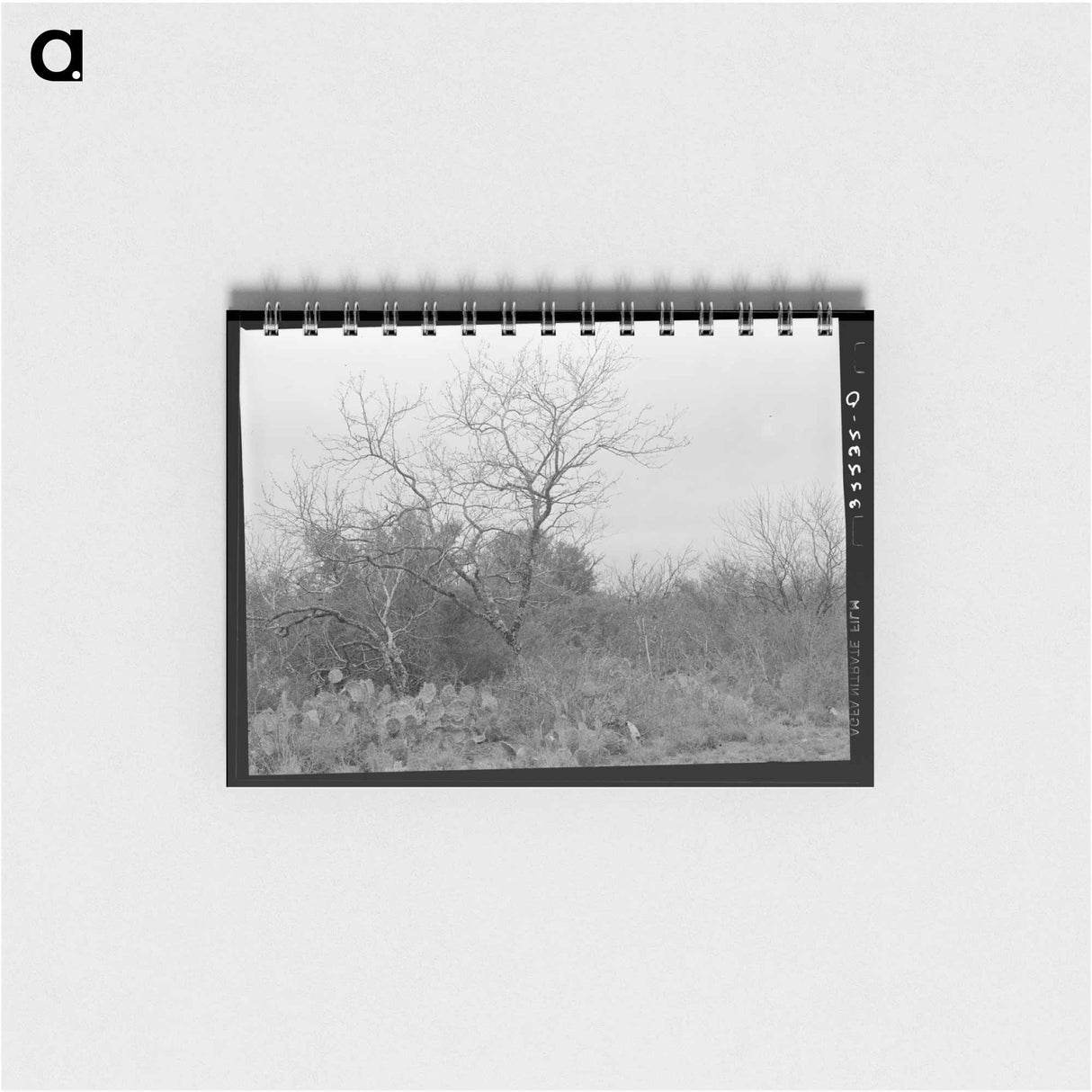 アートメモ帳-Cactus, Mesquite, and Chaparral near Robstown, Texas
 - ラッセル リー Memo.