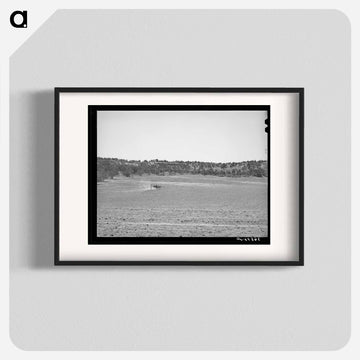 Terraced Building with Burros at Pie Town
 - ラッセル リー Poster.