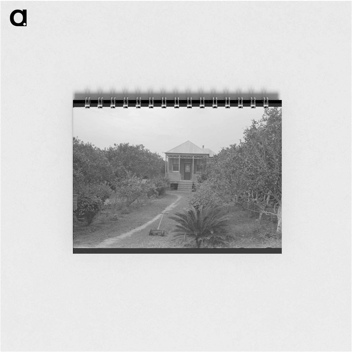 アートメモ帳-Front Yard of Orange Grower, Boothville, Louisiana
 - ラッセル リー Memo.