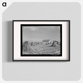 アートポスター-Farmstead with Corn, Canyon County, Idaho
 - ラッセル リー Poster.