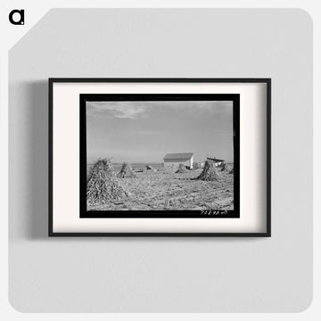 Farmstead with Corn, Canyon County, Idaho
 - ラッセル リー Poster.