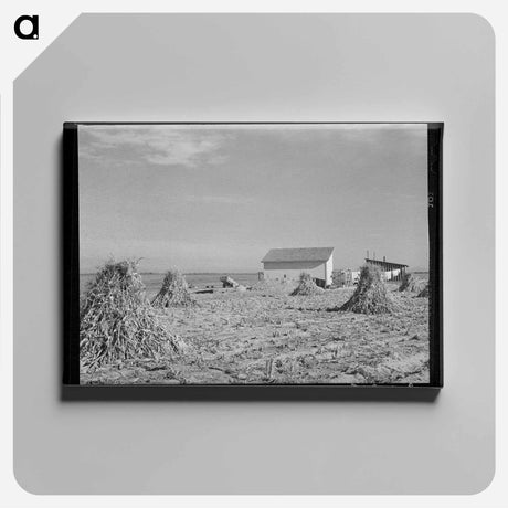 アートパネル-Farmstead with Corn, Canyon County, Idaho
 - ラッセル リー Canvas.