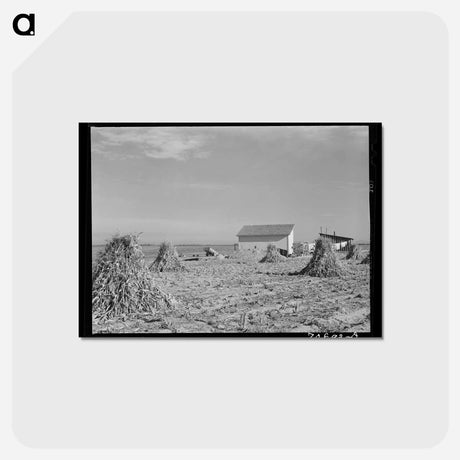 アートポストカード-Farmstead with Corn, Canyon County, Idaho
 - ラッセル リー Postcard.