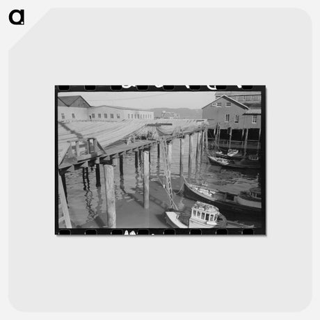 アートポストカード-Fishing Boats and Nets, Astoria, Oregon
 - ラッセル リー Postcard.