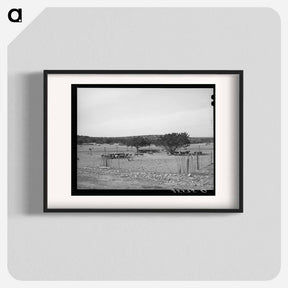 アートポスター-Sheep and Goats in Fenced Enclosure, Sutton County, Texas
 - ラッセル リー Poster.