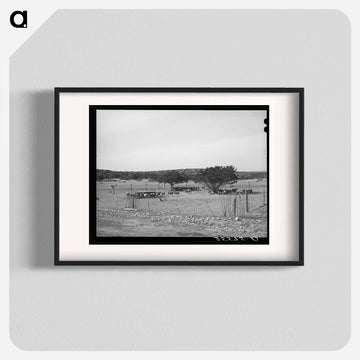 Sheep and Goats in Fenced Enclosure, Sutton County, Texas
 - ラッセル リー Poster.