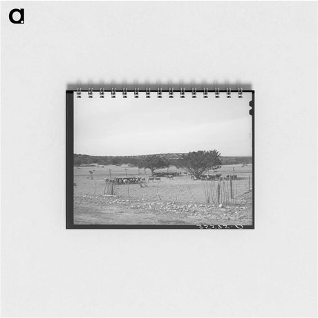 アートメモ帳-Sheep and Goats in Fenced Enclosure, Sutton County, Texas
 - ラッセル リー Memo.