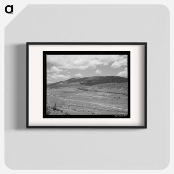 Tributary of the Rio Costilla near Amalia, New Mexico
 - ラッセル リー Poster.