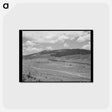 アートポストカード-Tributary of the Rio Costilla near Amalia, New Mexico
 - ラッセル リー Postcard.