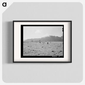 アートポスター-Dairy Cattle in Tillamook County Marshland
 - ラッセル リー Poster.