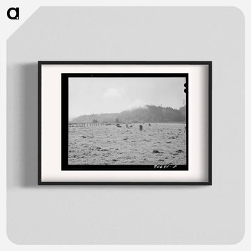 Dairy Cattle in Tillamook County Marshland
 - ラッセル リー Poster.