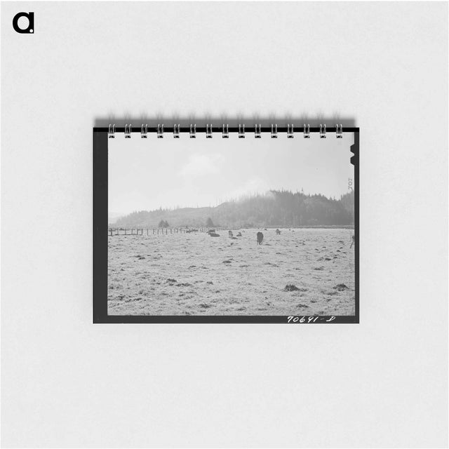アートメモ帳-Dairy Cattle in Tillamook County Marshland
 - ラッセル リー Memo.
