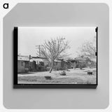 アートパネル-Backyards of Mexican Homes, Alamo, Texas
 - ラッセル リー Canvas.