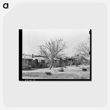 アートポストカード-Backyards of Mexican Homes, Alamo, Texas
 - ラッセル リー Postcard.