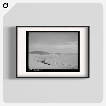 Wheat Field, Walla Walla County, Washington
 - ラッセル リー Poster.