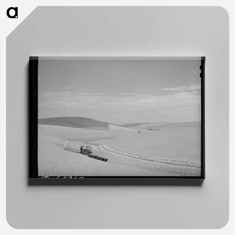 アートパネル-Wheat Field, Walla Walla County, Washington
 - ラッセル リー Canvas.