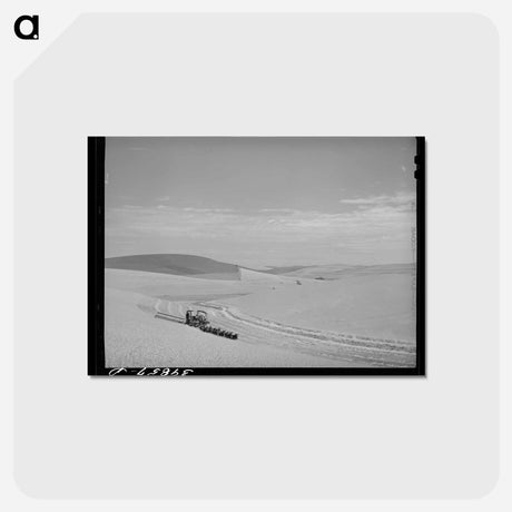 アートポストカード-Wheat Field, Walla Walla County, Washington
 - ラッセル リー Postcard.