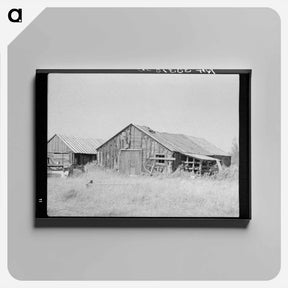 アートパネル-Abandoned Lumber Camp near Gemmel, Minnesota
 - ラッセル リー Canvas.