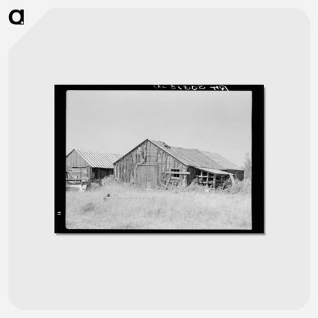 アートポストカード-Abandoned Lumber Camp near Gemmel, Minnesota
 - ラッセル リー Postcard.