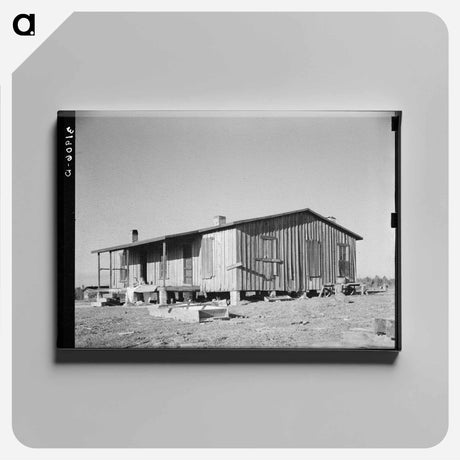 アートパネル-Children of the Scarbroughs in Front of Farm Home, Laurel, Mississippi
 - ラッセル リー Canvas.