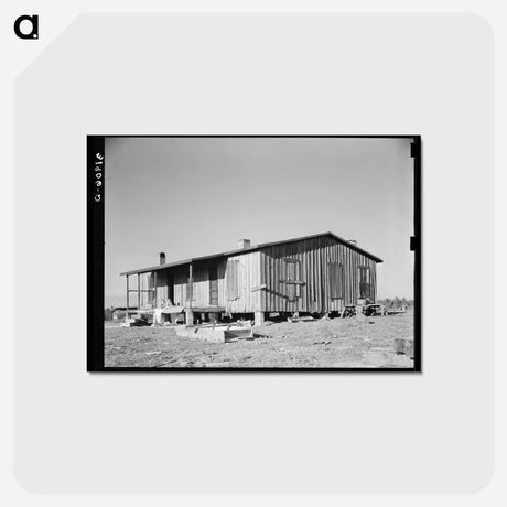 アートポストカード-Children of the Scarbroughs in Front of Farm Home, Laurel, Mississippi
 - ラッセル リー Postcard.