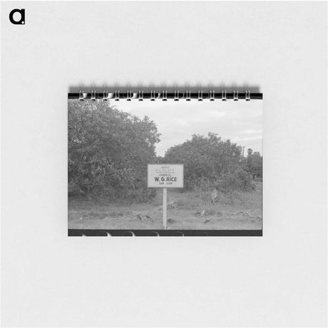 アートメモ帳-Citrus Grove Sign, San Juan, Texas
 - ラッセル リー Memo.