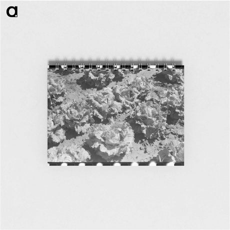 アートメモ帳-Lettuce Field, Canyon County, Idaho
 - ラッセル リー Memo.