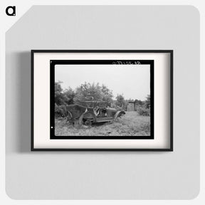 アートポスター-Outhouse and Automobile on Art Simplot's Farm
 - ラッセル リー Poster.
