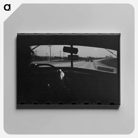 アートパネル-Highway in Bexar County, Texas, from an Automobile
 - ラッセル リー Canvas.