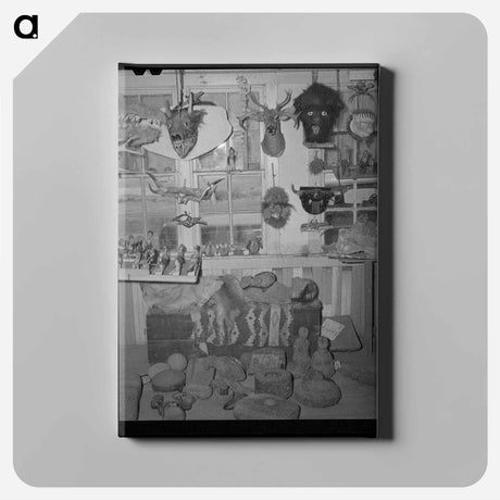 アートパネル-Heads, Mummies, and Indian Relics
 - ラッセル リー Canvas.