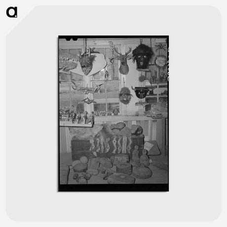アートポストカード-Heads, Mummies, and Indian Relics
 - ラッセル リー Postcard.
