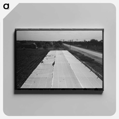 アートパネル-Large Frame Garden on Truck Farm Near San Angelo, Texas
 - ラッセル リー Canvas.