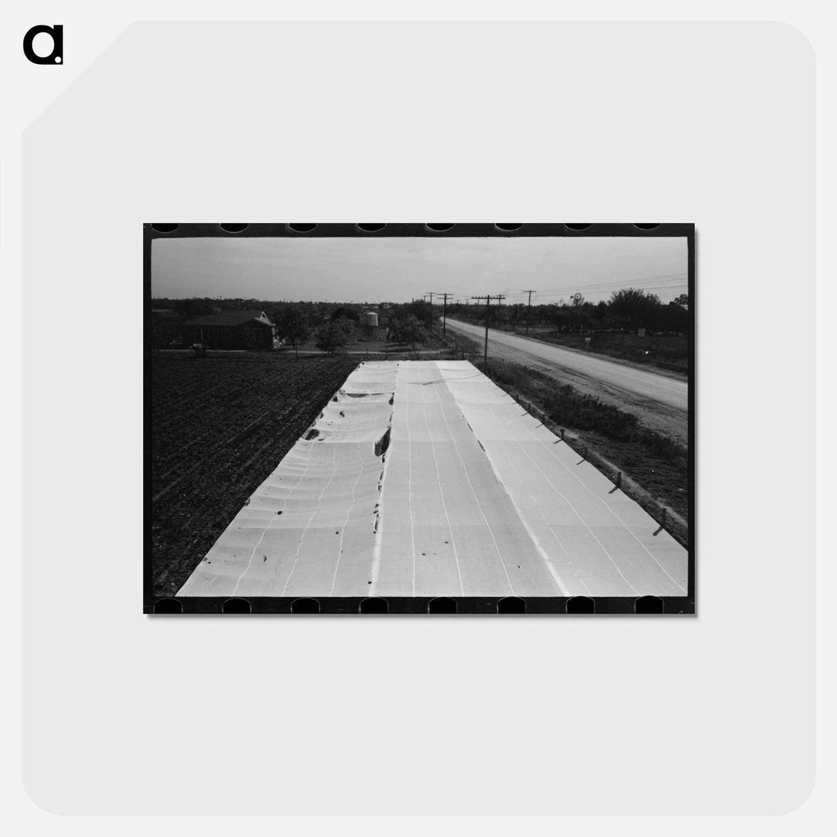 アートポストカード-Large Frame Garden on Truck Farm Near San Angelo, Texas
 - ラッセル リー Postcard.